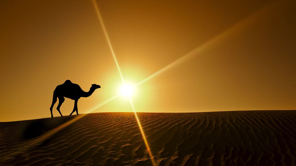 Knight Castle Hotel Дубай Экстерьер фото The Sahara Desert